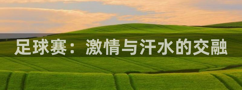 JJB竞技宝官网下载是干嘛的公司:足球赛:激情与汗水的交融